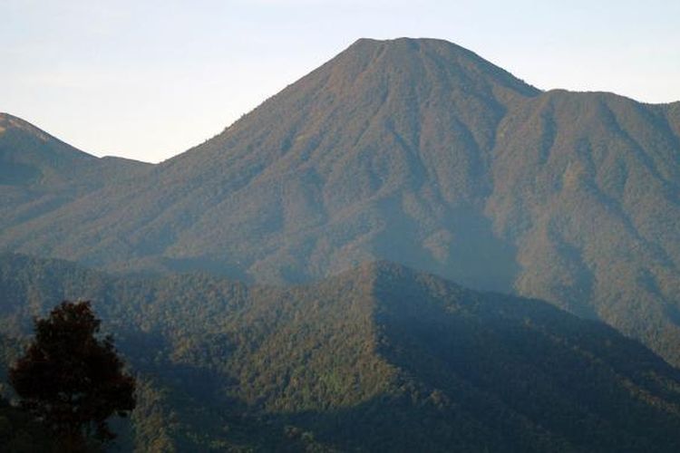 Puncak Gunung Pangrango dilihat dari kawasan pendakian Gunung Kencana, Jumat (6/5/2016). Di jalur pendakian ke Gunung Kencana banyak sekali ditemukan perkebunan teh nan hijau di sisi kiri dan kanan jalan.