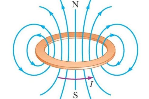 Induksi Magnetik pada Kawat Lingkaran Berarus Listrik