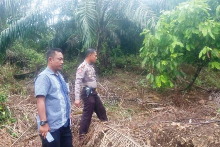 Polisi melihat lokasi bangkai gajah dikubur di Desa Seumanah Jaya, Kecamatan Ranto Peureulak, Aceh Timur, Selasa (14/11/2017).