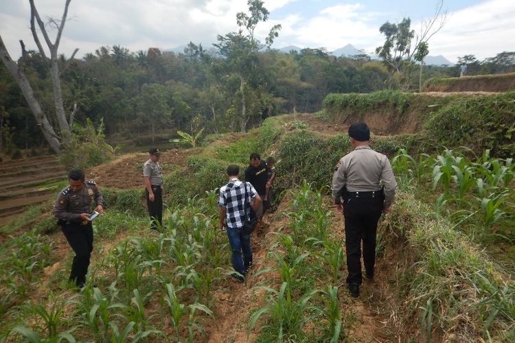 Nampak Petugas BPCB Jateng didampingi anggota Polsek Slogihimo berada di lokasi penemuan koin kuno di Desa Gunan, Kecamatan Slogohimo, Kabupaten Wonogiri.