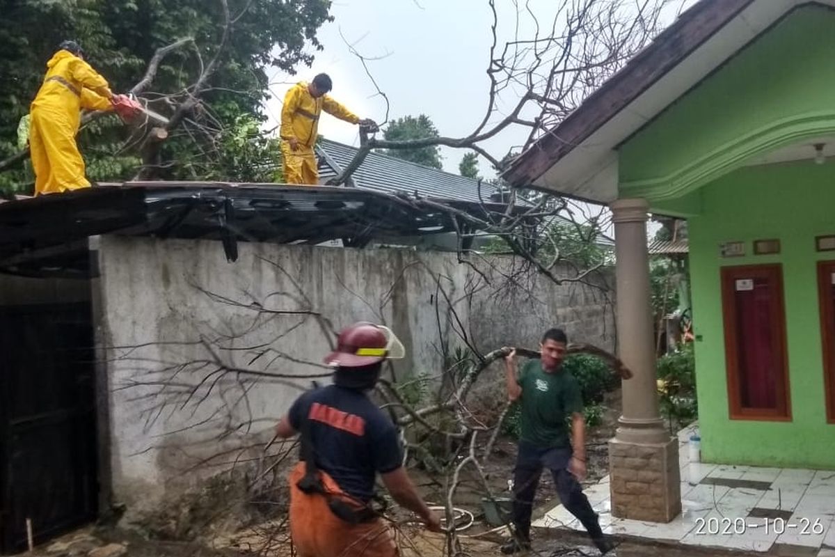 Pohon tumbang di permukiman warga di Leuwinanggung, Tapos, Depok, Senin (26/10/2020) akibat terpaan hujan deras disertai angin kencang.