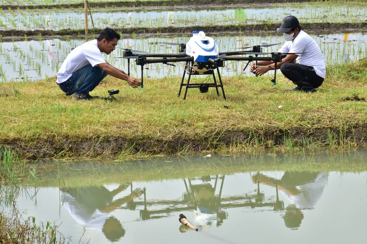 Drone petani discount