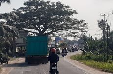 Perbaikan Jalan Nasional di Provinsi Jambi Digeber hingga Akhir Tahun