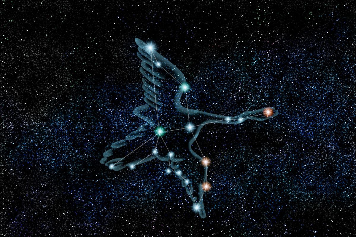 Rasi bintang Cygnus