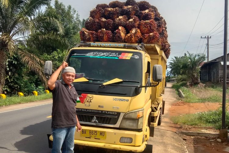 Harga Sawit di Pessel Sumbar Anjlok Jadi Rp 700 per Kg, Petani Minta Pemerintah Turun Tangan
