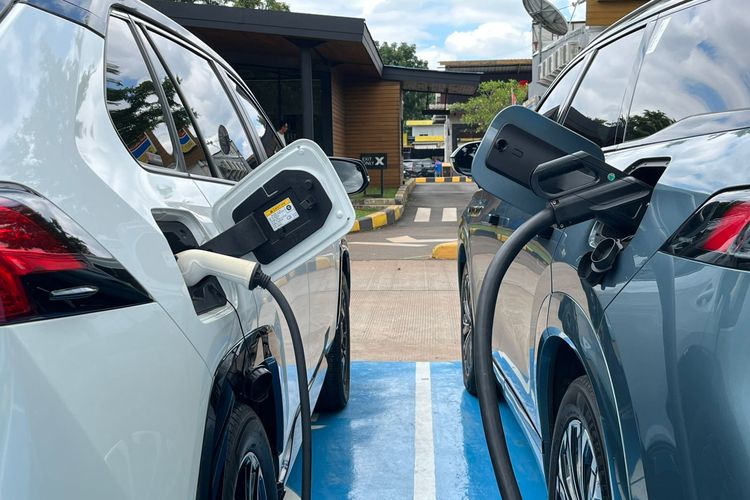 Kendaraan listrik (EV) bisa mencegah kematian dini, tapi Indef menilai tren pemakaiannya masih belum signifikan.