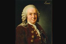 Carolus Linnaeus, Bapak Klasifikasi dan Taksonomi