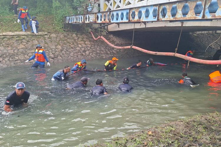 Cerita Petugas Gerebek Sarang Ikan Sapu-sapu di Kali Semanan Jakbar, Picu Kerusakan Turap