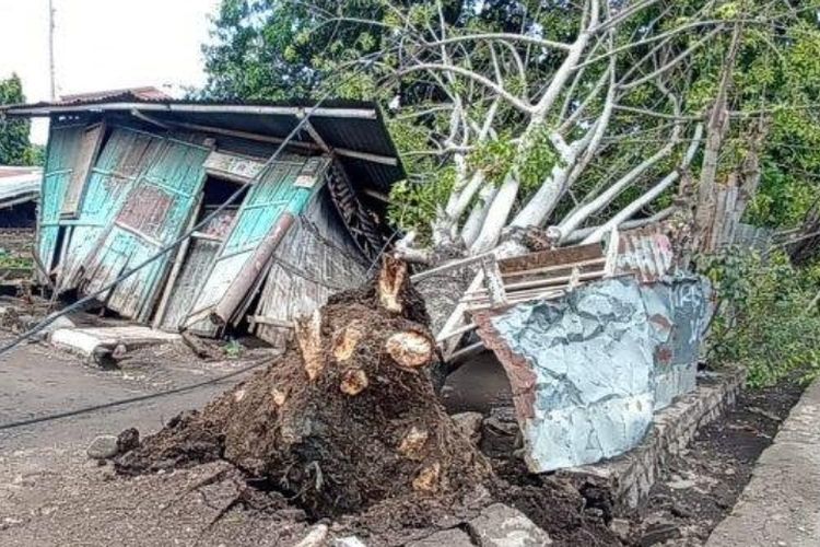 Rumah milik Vinsensius Roi warga Kelurahan Kota Baru, Kecamatan Alok Timur, Kabupaten Sikka, Nusa Tenggara Timur (NTT) yang rusak tertimpa pohon tumbang.