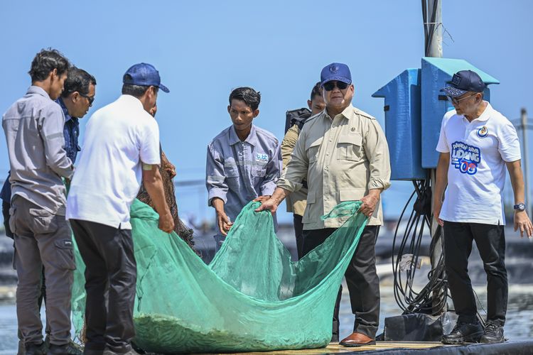 Presiden Prabowo Subianto (kedua kanan) didampingi Menteri Koordinator Bidang Pangan (Menko Pangan) Zulkifli Hasan (kanan) menjaring udang saat panen raya udang di lokasi Tambak Budidaya Udang Berbasis Kawasan (BUBK) Kebumen, Jawa Tengah, Sabtu (23/5/2026). Kawasan tambak seluas sekitar 100 hektare tersebut memiliki nilai produksi mencapai sekitar Rp67,2 miliar per siklus atau berpotensi menembus Rp134,4 miliar per tahun dan mampu menyerap ratusan tenaga kerja. ANTARA FOTO/Galih Pradipta/foc.