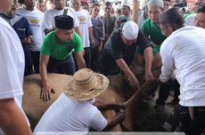 Jadi Tontonan Warga di Bangka Belitung, Sapi Kurban Jokowi Dipastikan Bebas LSD