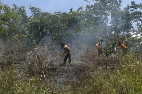 PP Muhammadiyah: Perusahaan Pembakar Hutan Harus Bertanggung Jawab