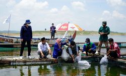 Dukung Perikanan Budi Daya, Kementerian KP Gelar Pelatihan Pembuatan Pakan hingga Budi Daya Ikan Mas
