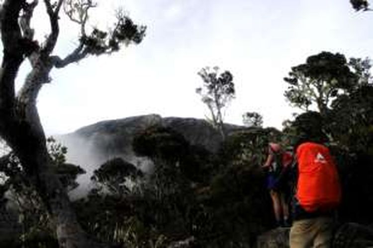 Dua pendaki asal Indonesia tengah menyusuri jalur pendakian Gunung Kinabalu menuju titik Panar Laban di ketinggian 3.272 meter di atas permukaan laut (mdpl) pada Senin (21/11/2016). Di Gunung Kinabalu, pendaki bisa menemukan sinyal internet hingga 4G.