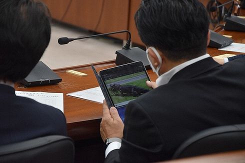 Anggota DPR Jepang Sibuk Menonton Buaya Saat Sidang Kabinet