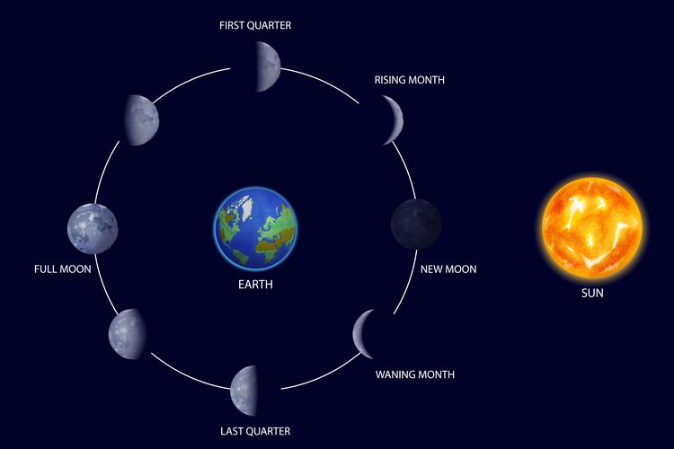Ilustrasi fase Bulan