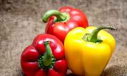 7 Manfaat Paprika untuk Kesehatan, Tingkatkan Kadar Kolesterol Baik