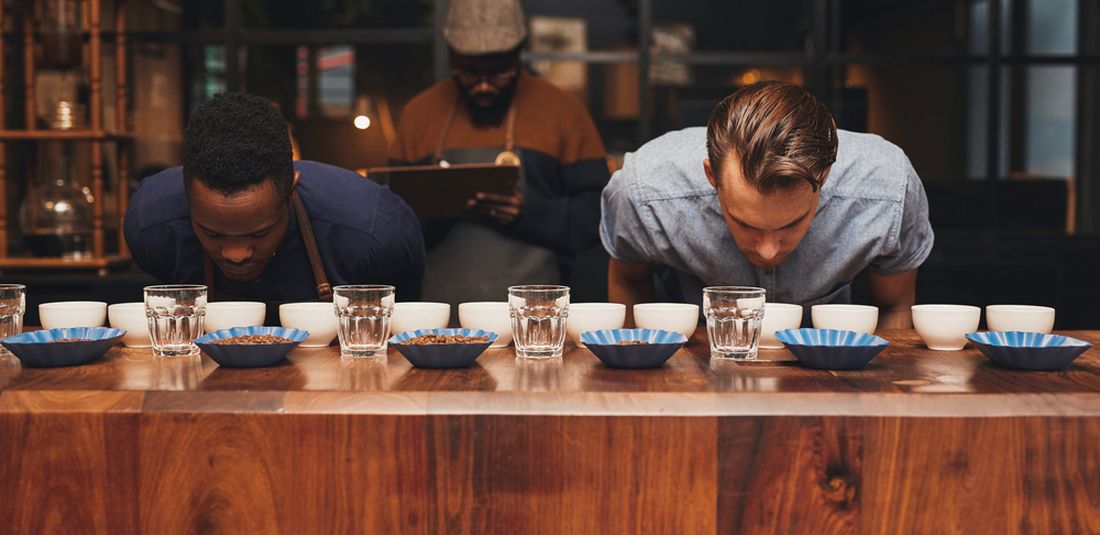 Ilustrasi barista sedang coffee cupping. Mereka mencium aroma kopi setelah diseduh. 