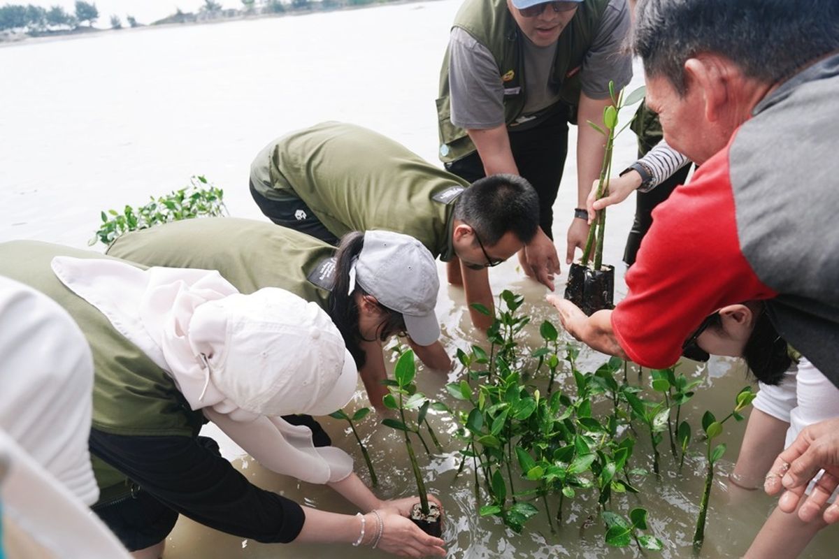 Penanaman mangrove oleh Astra Property di Pulau Pramuka, Jakarta Utara