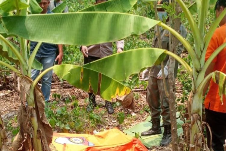 Penemuan jasad pegawai honorer RSUD Karawang di kebun pisang di Desa Kutamekar, Kecamatan Ciampel, Kabupaten Karawang, Selasa (7/11/2023).