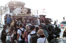 10 Tanaman Hidroponik yang Cocok Ditanam di Rumah, 3 Bulan Panen