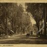 Sejarah Penamaan Daerah Kebon Sirih