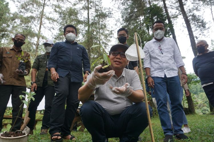 Bupati Banyumas Achmad Husein menanam kantong semar endemik Gunung Slamet di area Baturraden Adventure Forest (BAF), Kabupaten Banyumas, Jawa Tengah, Sabtu (12/2/2022).