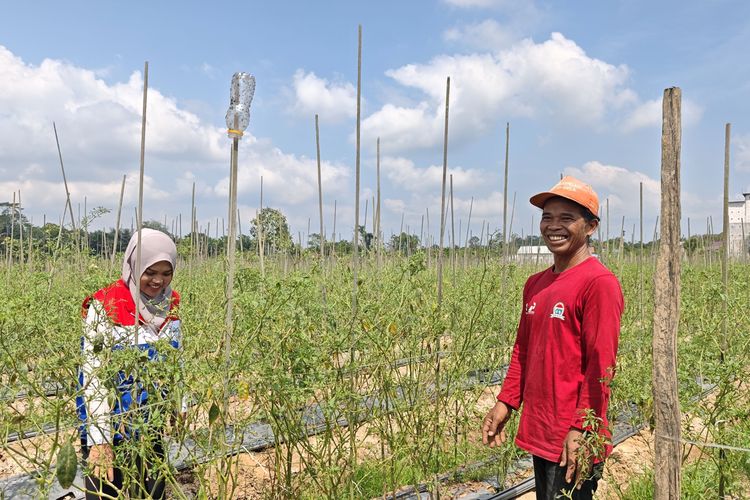 Dari Petani Tanah Datar, Energi Kalimantan Tumbuh untuk Ketahanan Pangan