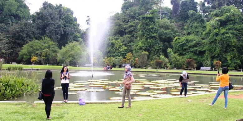 Salah satu spot berfoto atau selfie lainnya di Kebun Raya Bogor yaitu kolam teratai, di depan cafe Grand Garden. Banyak wisatawan yang berfoto di depan kumpulan bunga teratai dengan ait mancur setinggi 10 meter yang menambah keindahan.