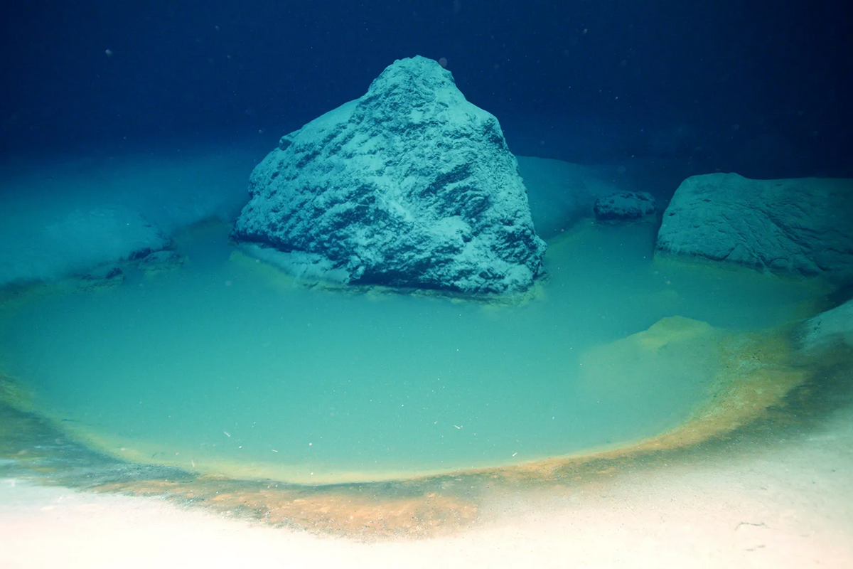 Kolam air asin yang ditemukan di Laut Merah 