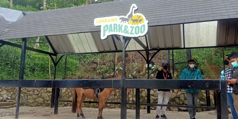 Viral, Video Kandang Kuda di Lembang Park and Zoo Diterjang Banjir Halaman  all - Kompas.com
