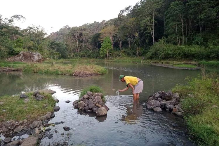 Danau 19, Desa Goreng Meni Utara, Kecamatan Lambaleda, Kabupaten Manggarai Timur, NTT menjadi salah satu destinasi wisata danau sambil memancing ikan oleh pengunjung, Jumat, (2/6/2023).