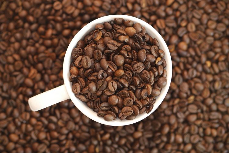 Ciri-Ciri Kopi Arabika dan Robusta