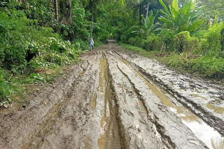 Kondisi jalan yang menghubungkan Kecamatan Seram Barat dan Huamual, Kabupaten Seram Bagian Barat, Maluku mengalami kerusakan parah dan sulit dilewati warga, Sabtu (9/6/2024).