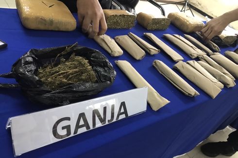 Ungkap Jaringan Pengedar Narkotika di Kampus Swasta, Polisi Sita 4,6 Kilogram Ganja