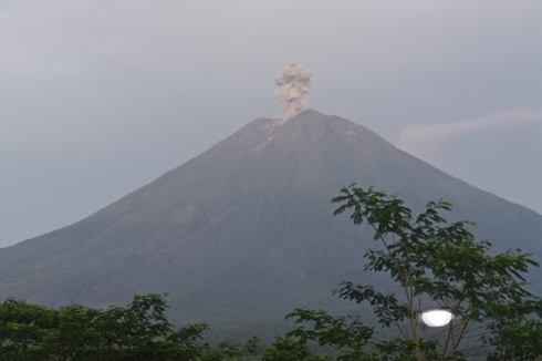 Gunung Semeru Keluarkan 16 Kali Letusan Asap, Ketinggian Kolom Abu Sampai 600 Meter