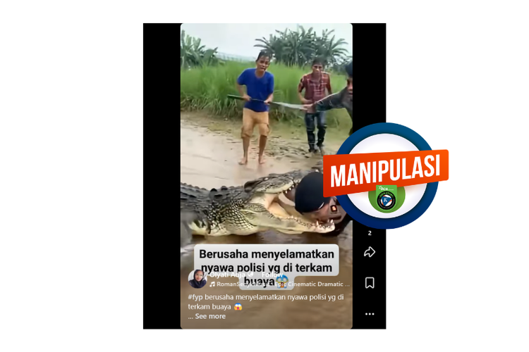INFOGRAFIK: Hoaks Penyelamatan Polisi yang Diterkam Buaya, Video itu Konten AI