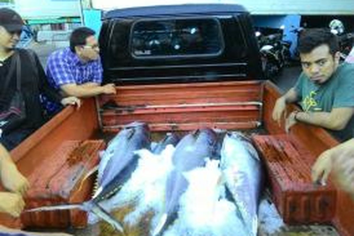 Ikan Tuna Sirip Kuning hasil tangkapan nelayan yang berada di mobil milik salah satu perusahaan cold storage, Bitung, Sulawesi Utara, Jumat (4/12/2015)