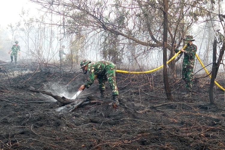 Penanganan Karhutla di Tengah Keterbatasan Air: Tambah Helikopter hingga Bangun Embung