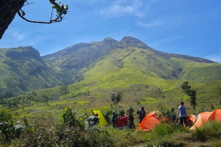 Hamparan padang rumput menyelimuti Gunung Sumbing. Panorama ini akan diperoleh pendaki jika mendaki melalui jalur Bowongso, Wonosobo.