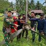Baling-baling Pesawat Diduga Sisa PD II Ditemukan di Hutan Keerom, Diambil dengan Ritual Adat