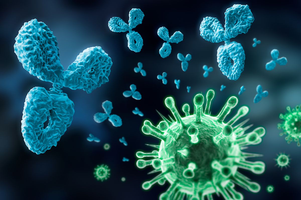 Ilustrasi antibodi dan virus corona, virus SARS-CoV-2 penyebab Covid-19.