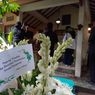 Maestro Ketoprak Asal Yogyakarta, Bondan Nusantara, Meninggal Dunia