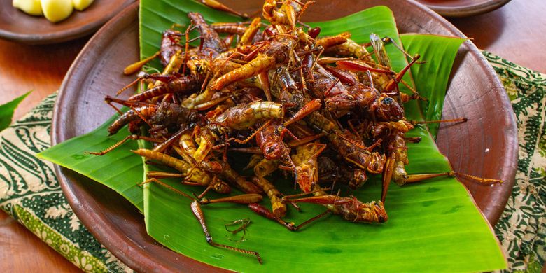 Ahli Gizi Pertanyakan Rencana Menu Serangga untuk Makan Bergizi Gratis di Daerah Tertentu - Kompas.com