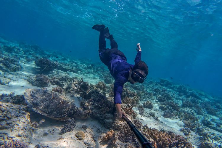 Snorkeling di Gili Trawangan, Lombok, NTB, bisa berenang bersama penyu di alam, Selasa (5/9/2023).