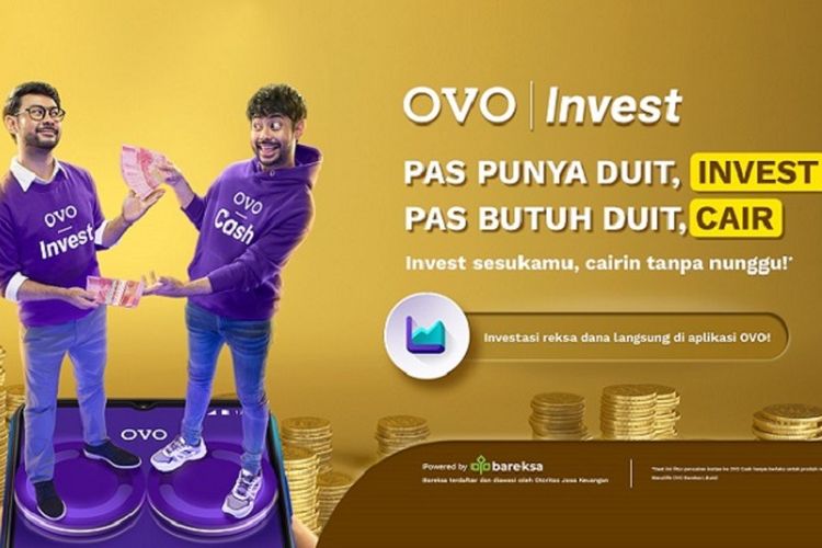 Ovo Invest (Dok. Ovo)