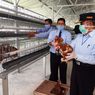 Heboh Harga Pengadaan Ayam Rp 770.000 Per Ekor, Ini Penjelasan Kementan