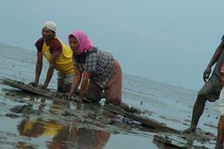 Permainan skilot, berselancar di atas lumpur khas Desa Tambak Lekok, Pasuruan, Jawa Timur.