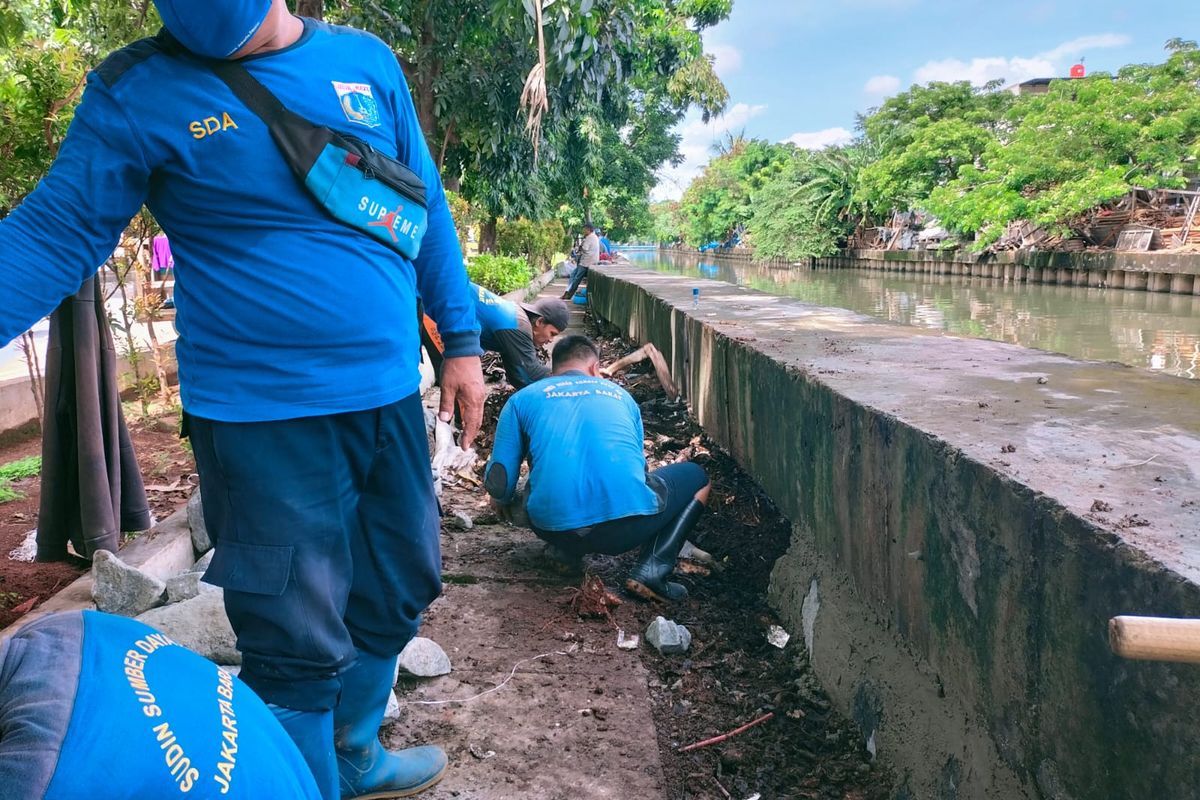 Deretan tanggul di Jalan Pangeran Tubagus Angke, Jelambar, Grogol Petamburan, Jakarta Barat, ditambal. 