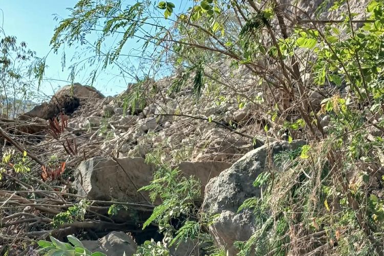 Jalan Tertutup Longsor Akibat Gempa, 1 Desa di Sikka Terisolasi 